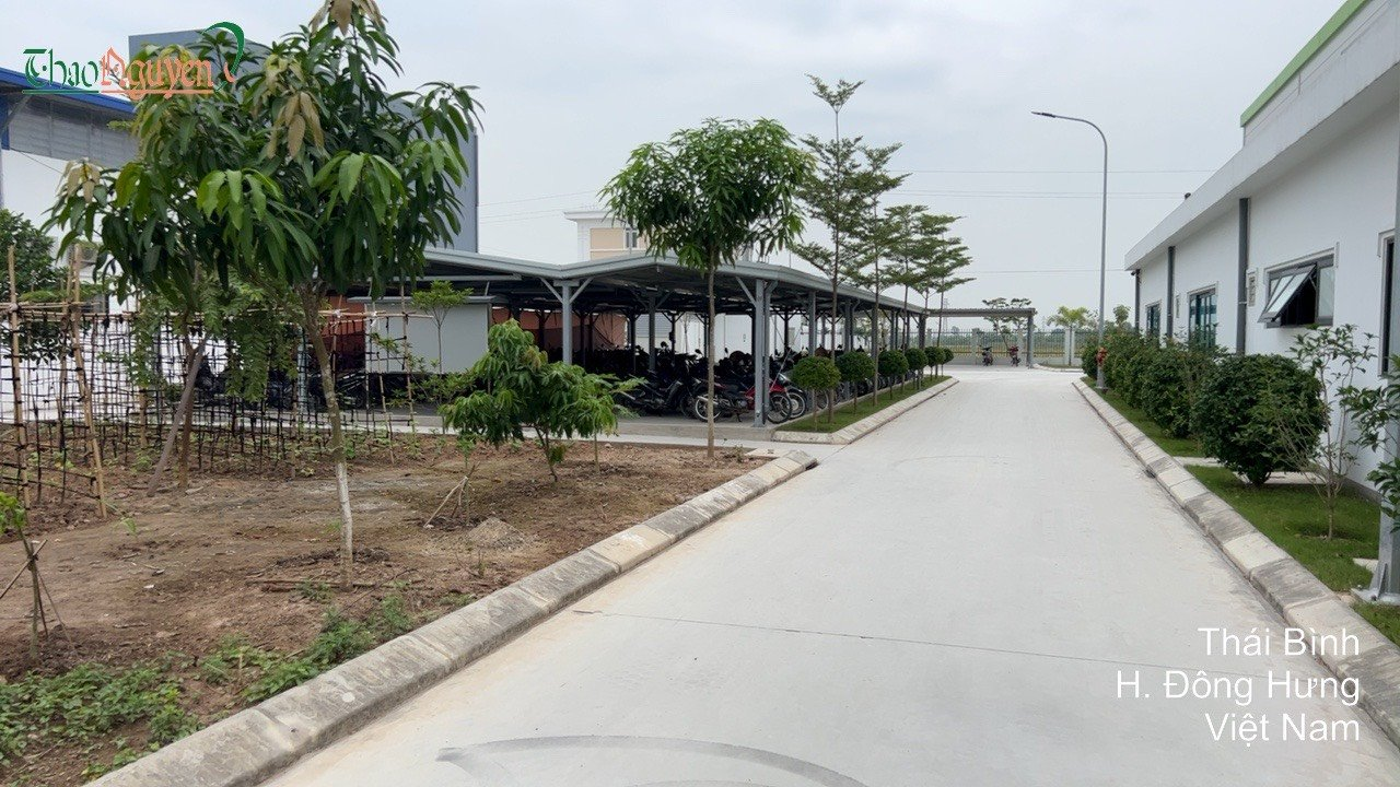 Standard 1